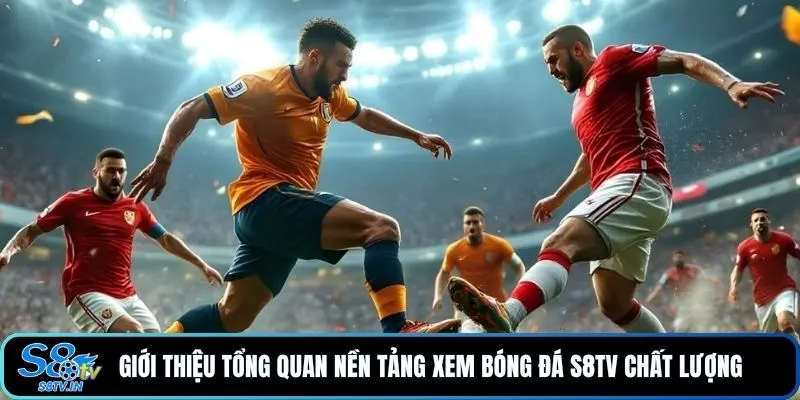 Giới thiệu tổng quan nền tảng xem bóng đá S8TV chất lượng 