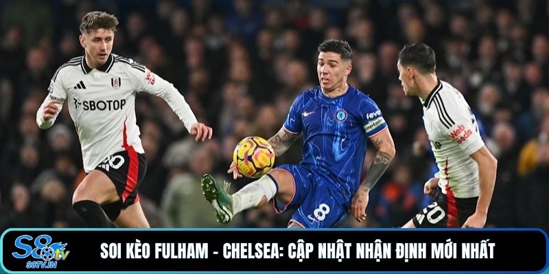 Soi kèo Fulham - Chelsea: Cập nhật nhận định mới nhất